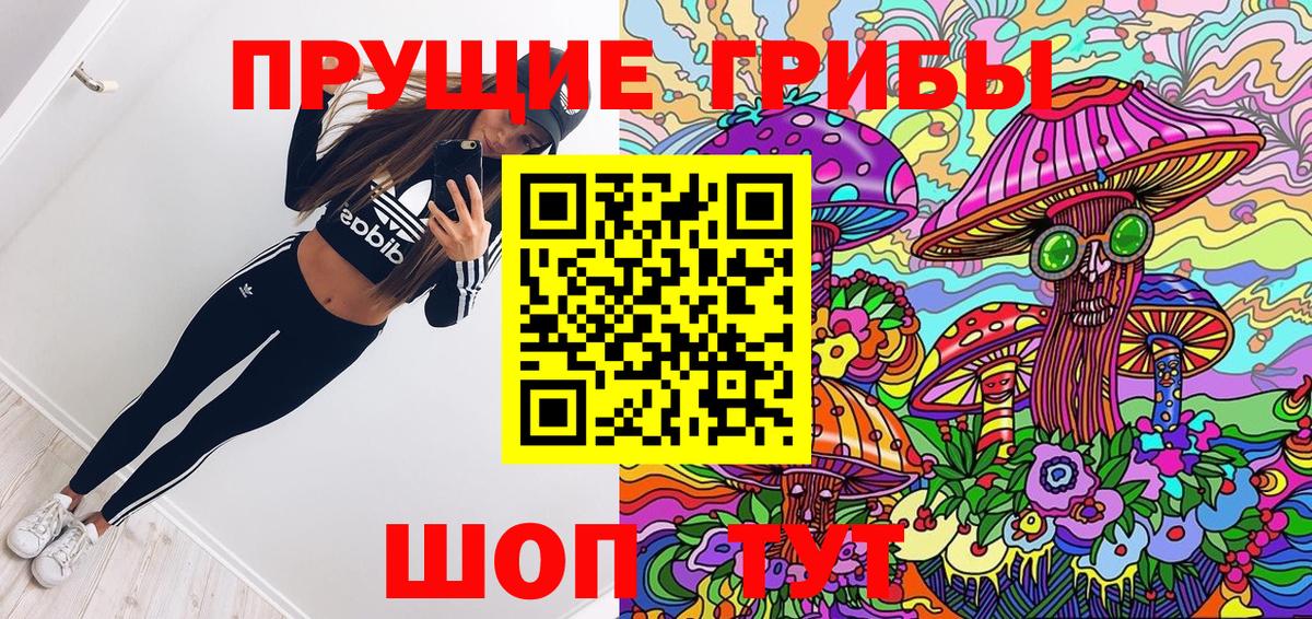 Псилоцибиновые грибы мицелий  Вход с VPN  купить   Новокубанск 