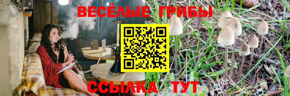 Купить наркотик  Канабис  Вход с VPN  Кокаин  Меф   ГАШ  Новокубанск  ГАШИШ  Мефедрон  А ПВП СОЛЬ   Лсд 25 